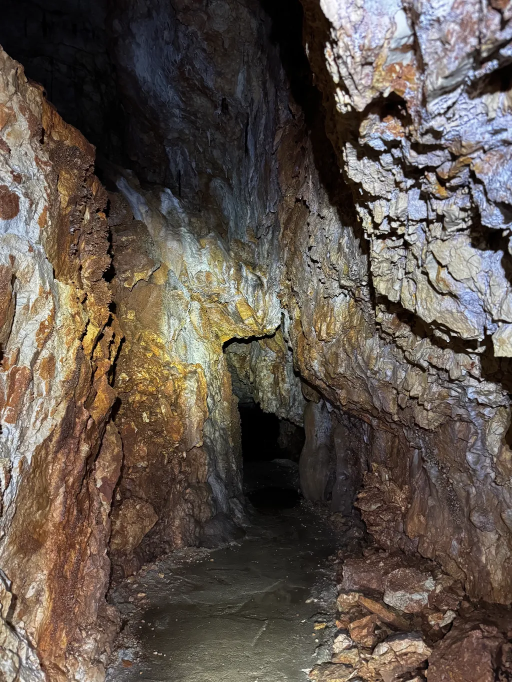 Couloir de roche brute dans la Grotte Forestière Ardèche