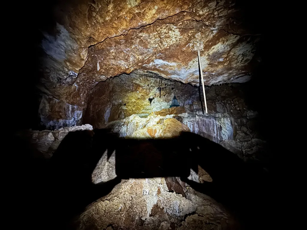 Racine d'arbre qui descend jusqu'à la tente suspendue dans la Grotte Forestière Ardèche