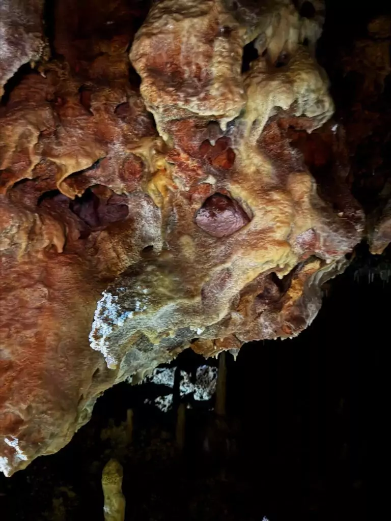 Grotte Aven Forestière - Ardèche