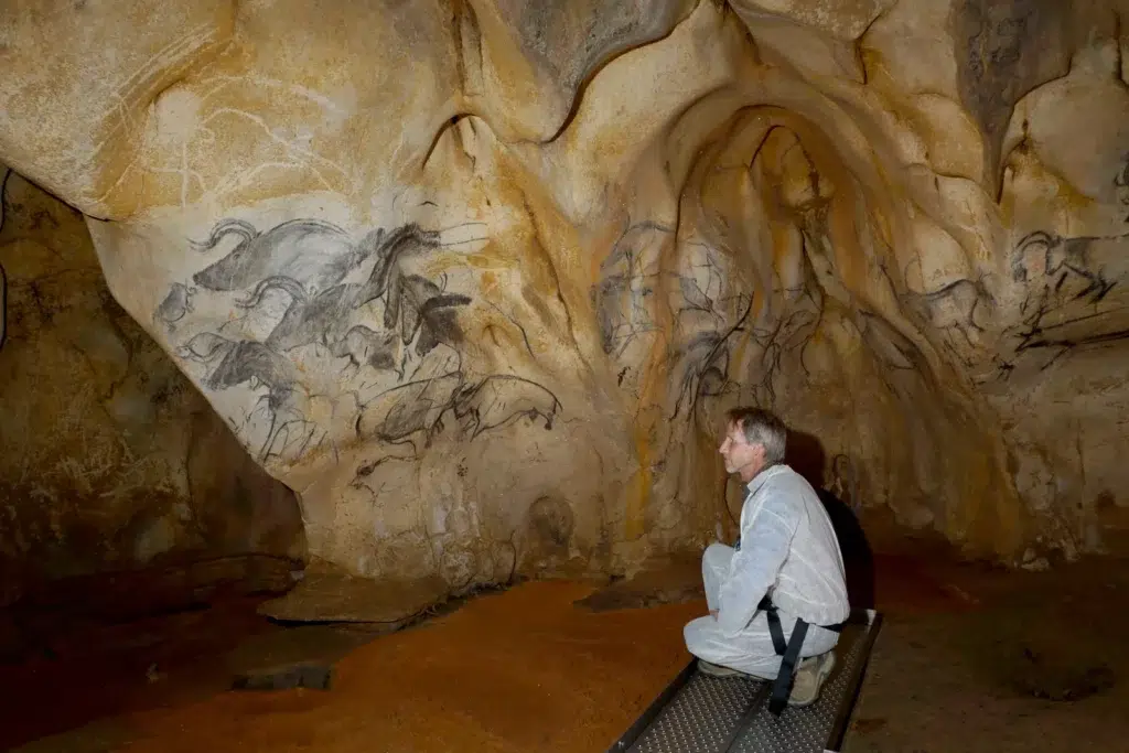 Nicolas VENTURE - Grotte Chauvet 1 - Ardèche